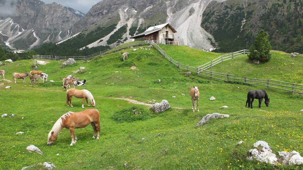 Garni Le Chalet Santa Cristina Val Gardena 외부 사진