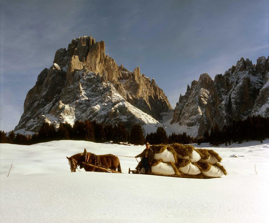 Garni Le Chalet Santa Cristina Val Gardena 외부 사진