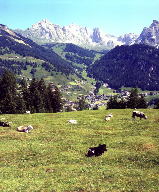 Garni Le Chalet Santa Cristina Val Gardena 외부 사진
