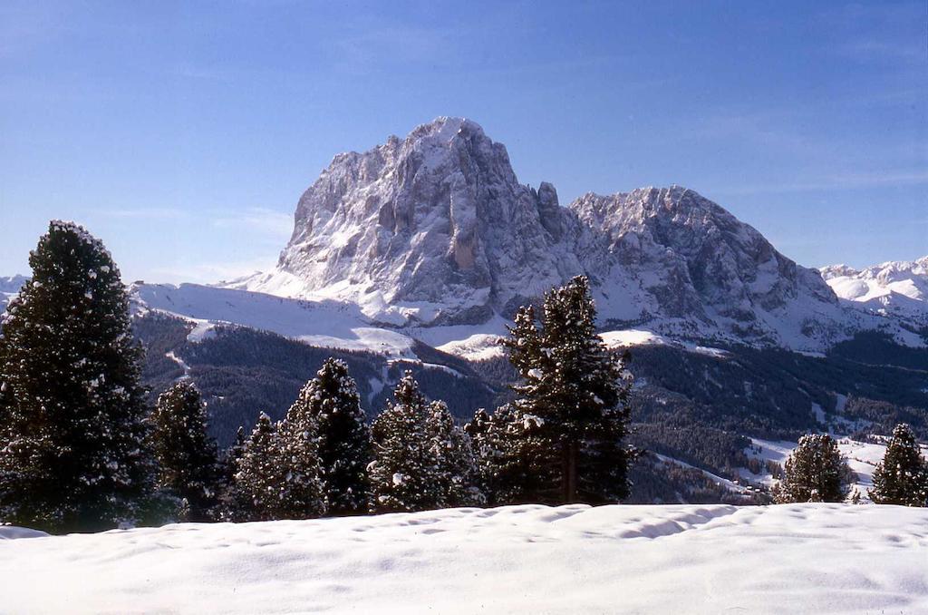 Garni Le Chalet Santa Cristina Val Gardena 외부 사진