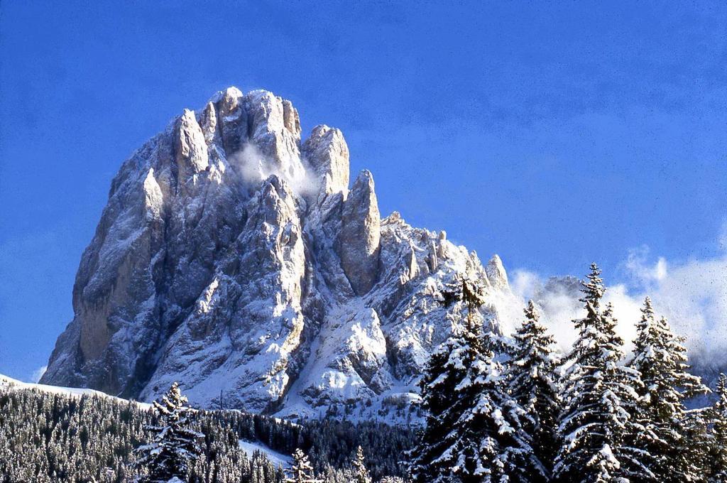 Garni Le Chalet Santa Cristina Val Gardena 외부 사진