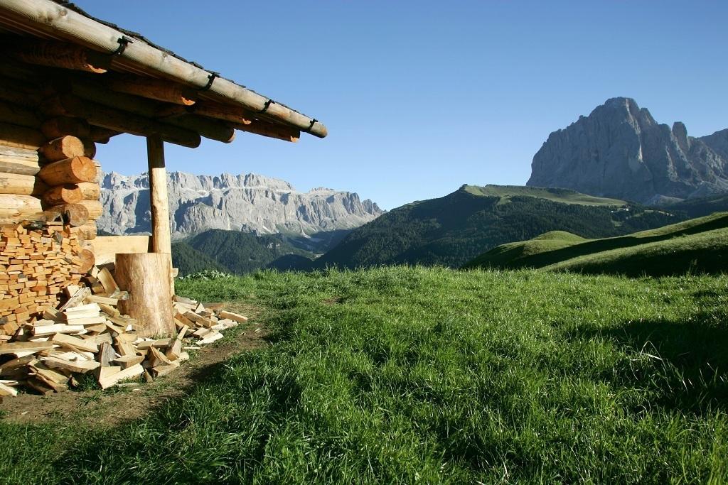 Garni Le Chalet Santa Cristina Val Gardena 외부 사진